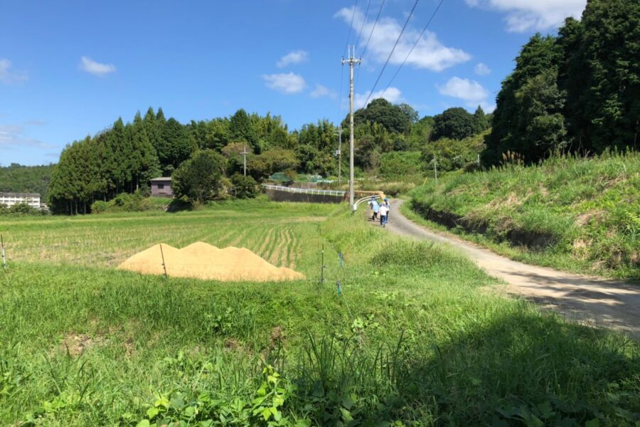ESD活動日誌 東市小学校野外活動支援