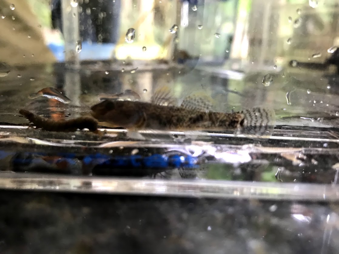 第3回 森と水の源流館