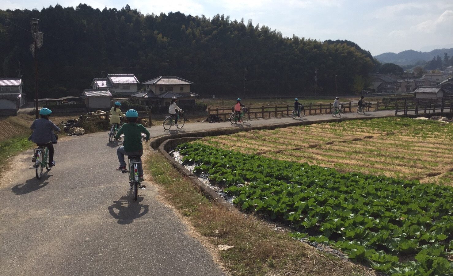 彦根市立城北小学校遠足支援